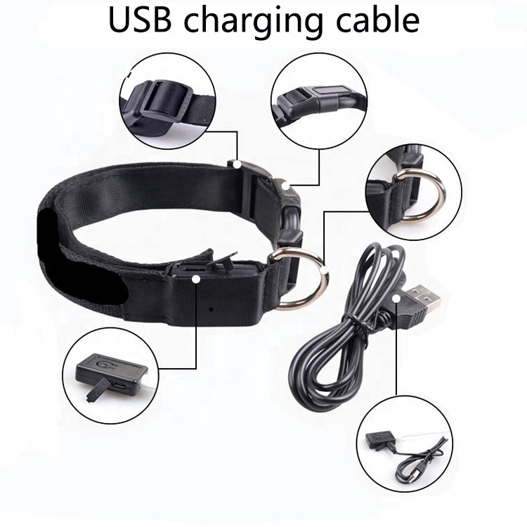 Collar LED Recargable USB para Perros | Seguridad Nocturna y Alta Visibilidad