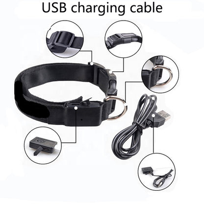 Collar LED Recargable USB para Perros | Seguridad Nocturna y Alta Visibilidad