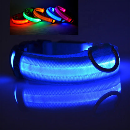 Collar LED Recargable USB para Perros | Seguridad Nocturna y Alta Visibilidad